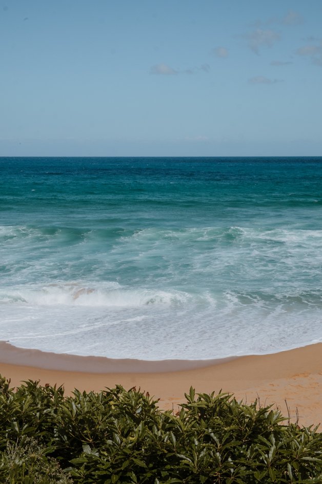 jana meerman eden nsw australia-2