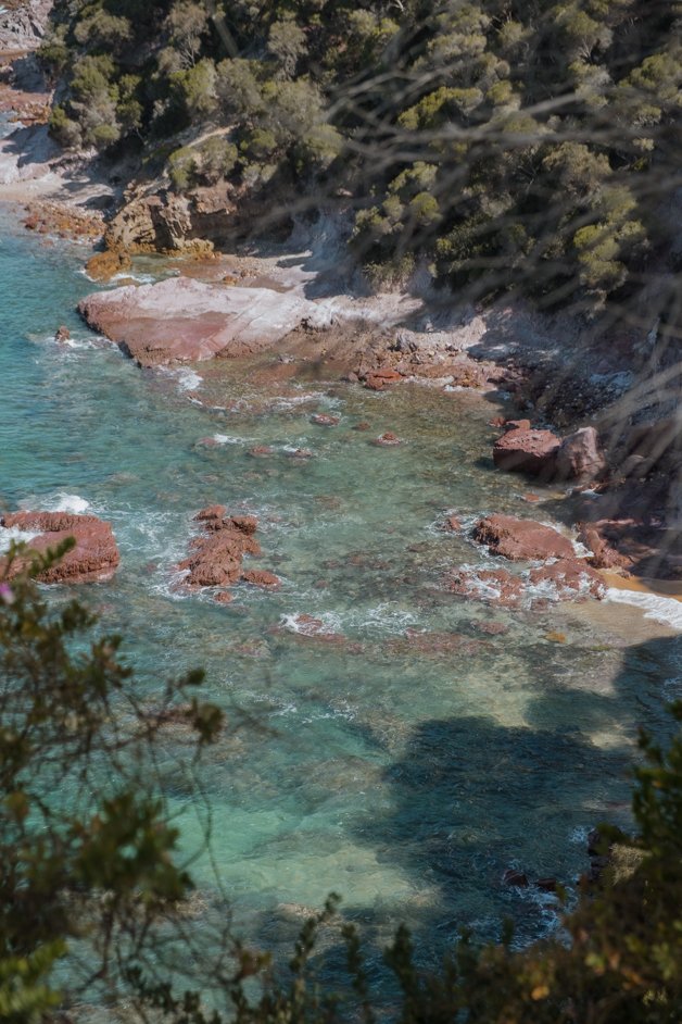 jana meerman eden nsw australia-4