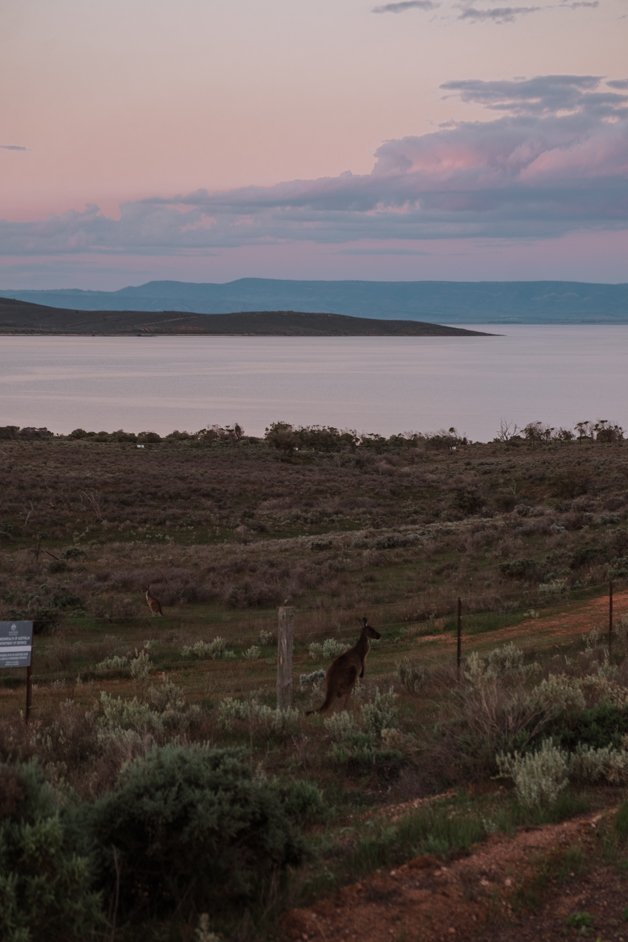 jana meerman fitzgerald bay camp australia-6