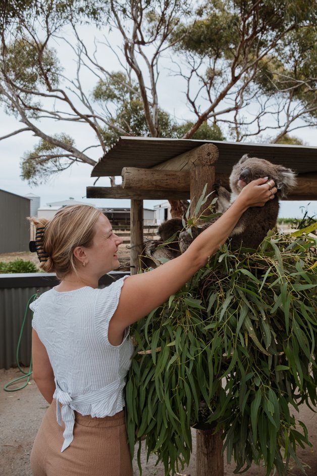 jana meerman glen forest animal park australia-145