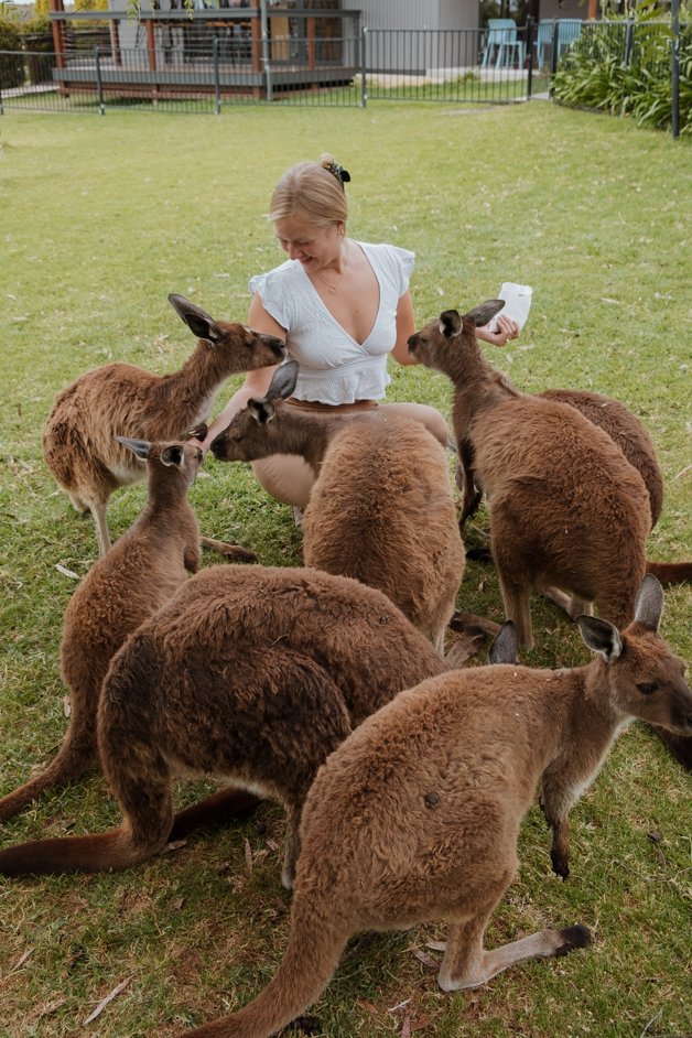 jana meerman glen forest animal park australia-145