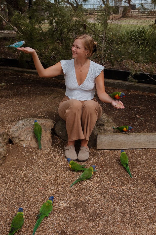 jana meerman glen forest animal park australia-145