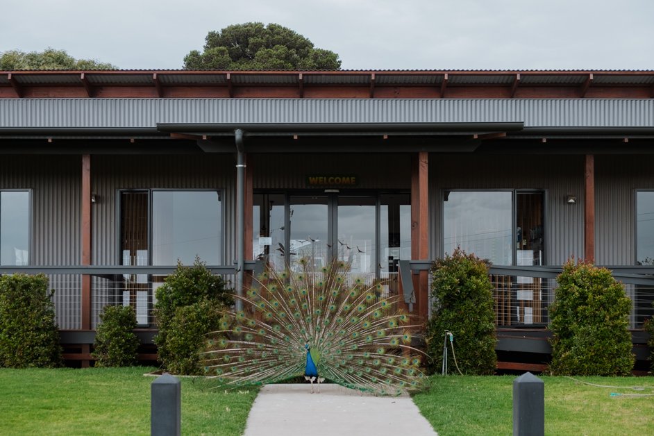 jana meerman glen forest animal park australia-145