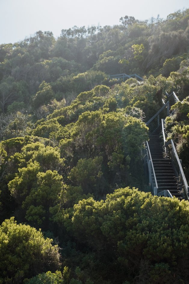 jana meerman great ocean road australia-74