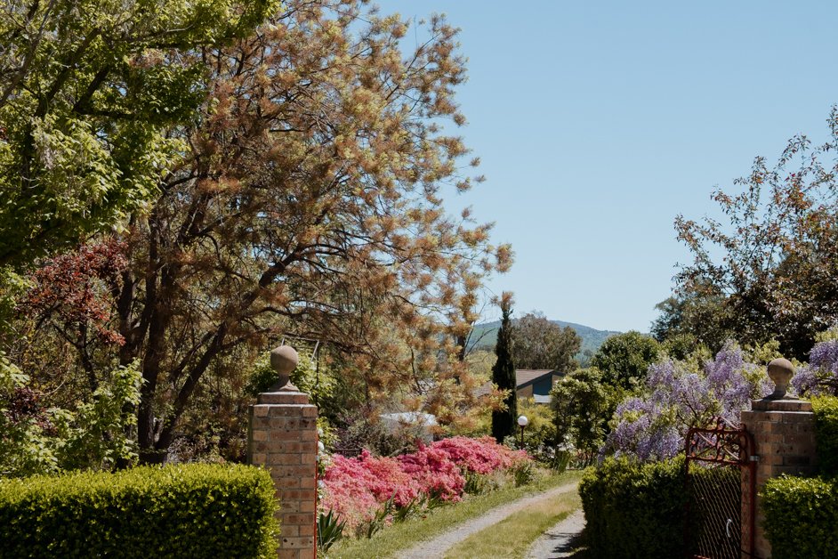 jana meerman gundagai sydney australia-07