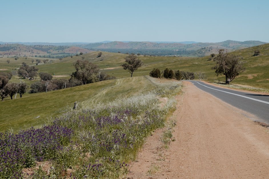 jana meerman gundagai sydney australia-07