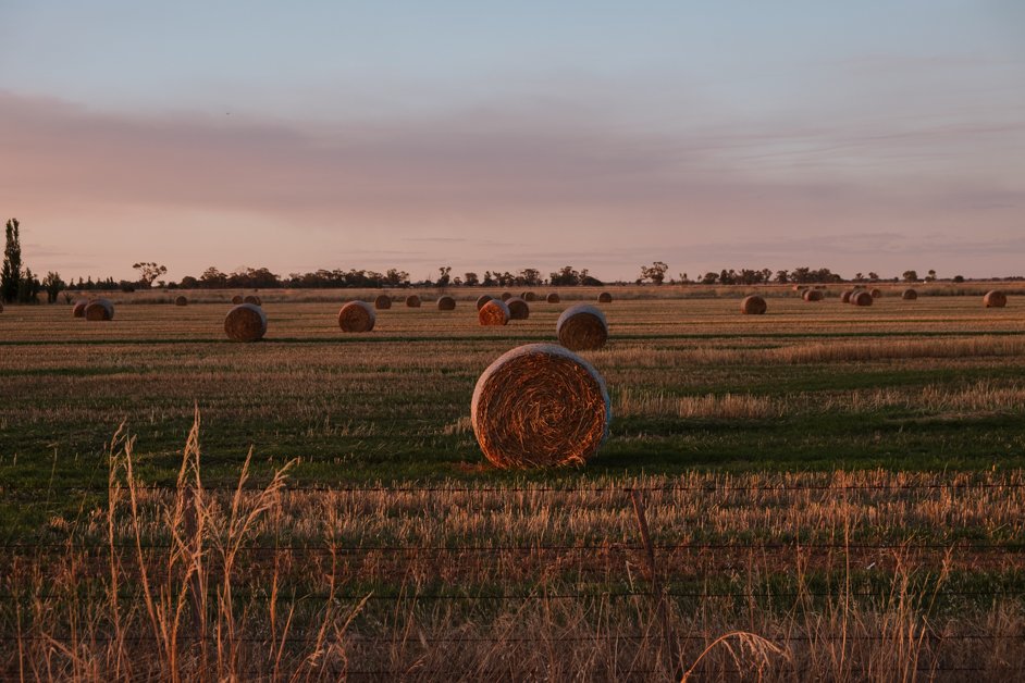 jana meerman hay field victoria sunset australia-1