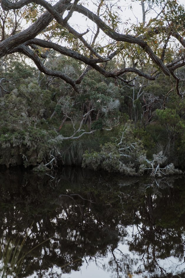 jana meerman hay river australia-1