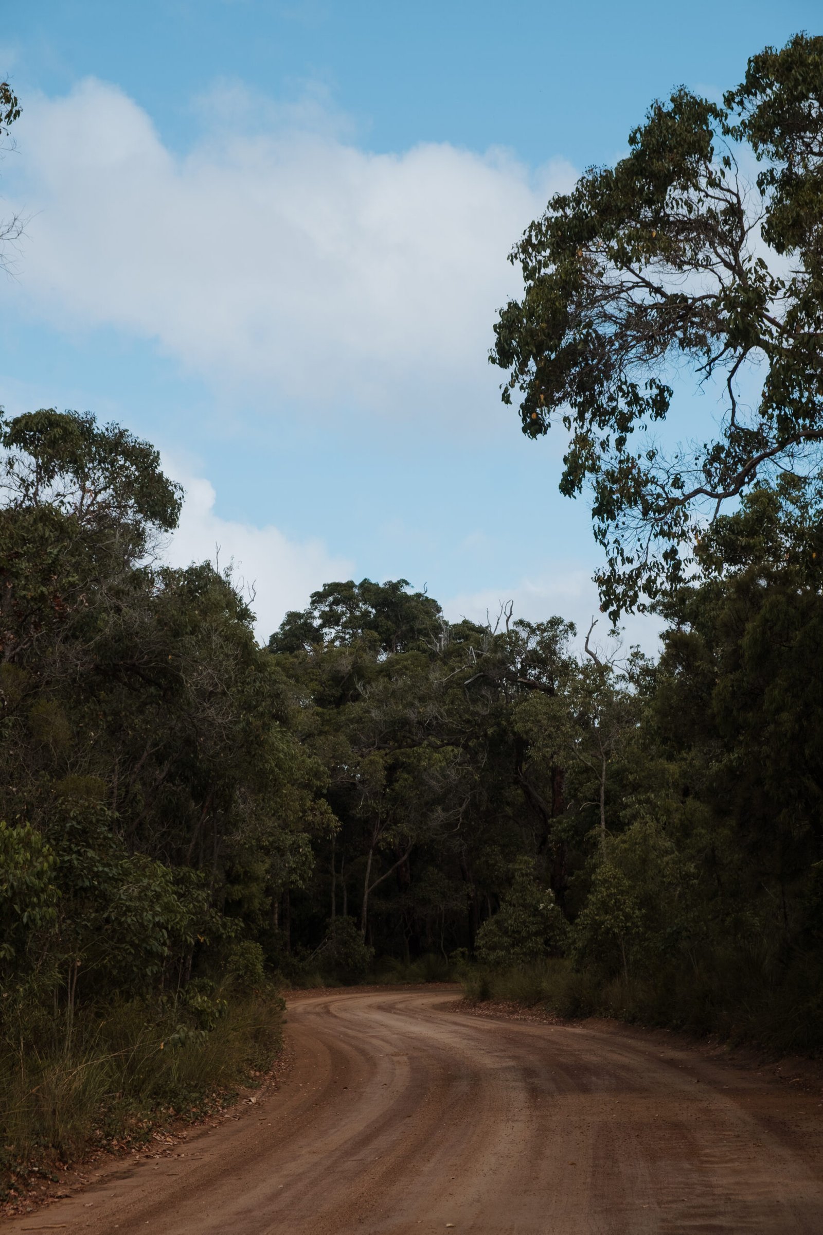 jana meerman hay river free camp denmark australia-2