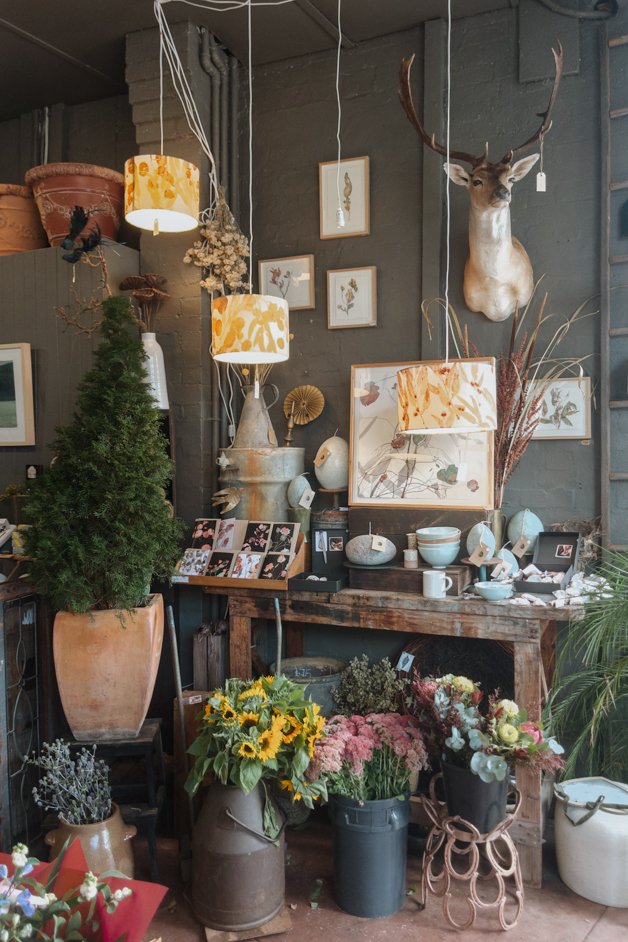 jana meerman healesville australia-1
