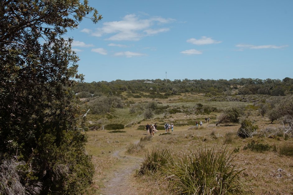 jana meerman horse head rock hike nsw australia-4
