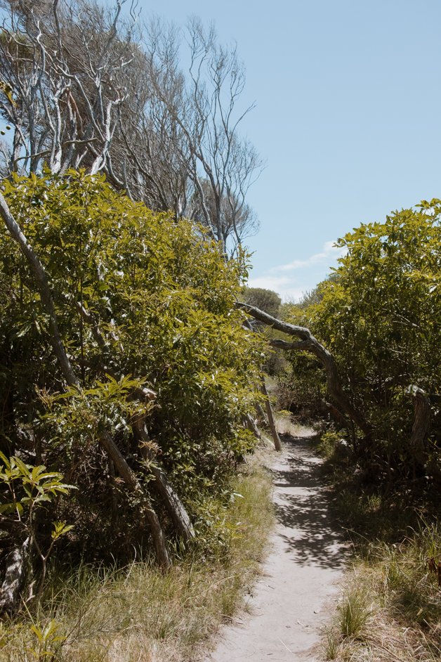 jana meerman horse head rock hike nsw australia-8