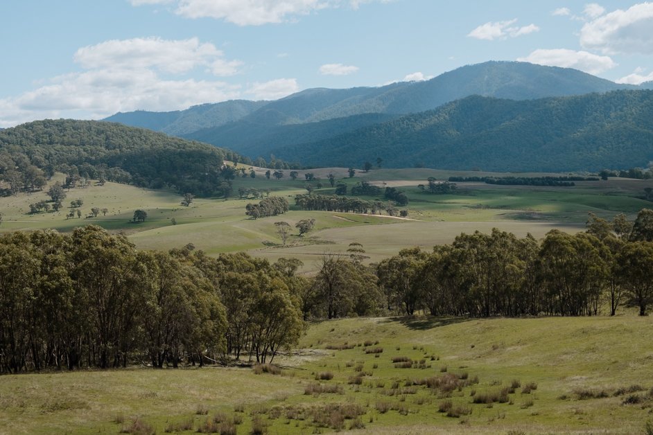 jana meerman kosciuszko national park alpine way australia-7