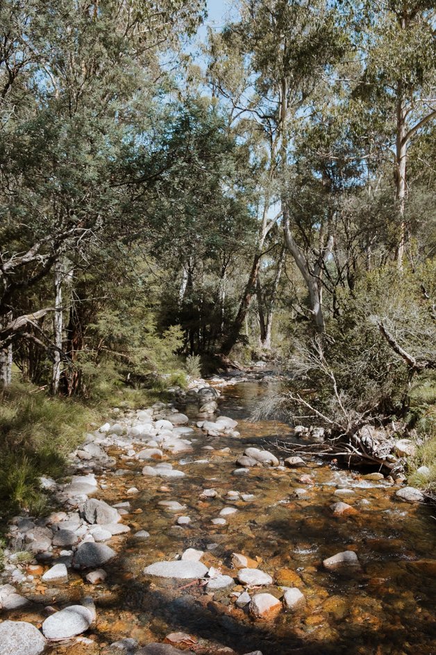 jana meerman kosciuszko national park alpine way australia-7