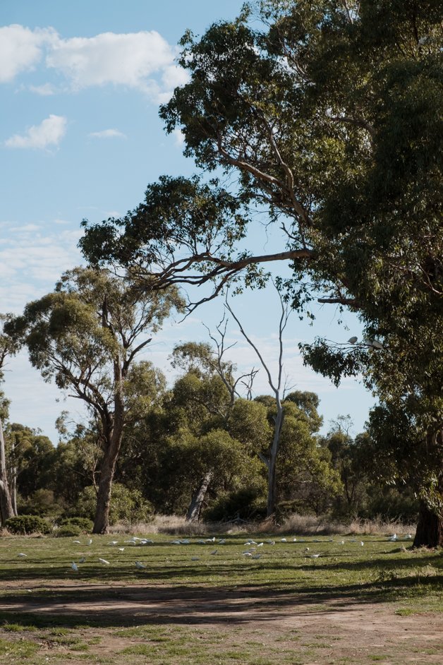 jana meerman lake mulwala australia-7