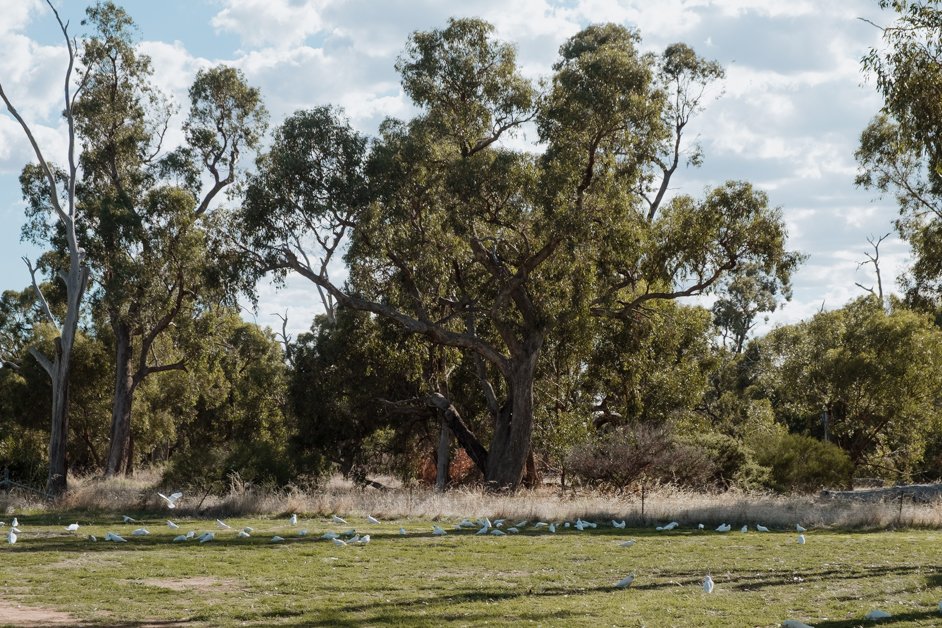 jana meerman lake mulwala australia-7