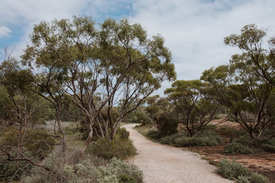 jana meerman mannum waterfalls hike australia-01