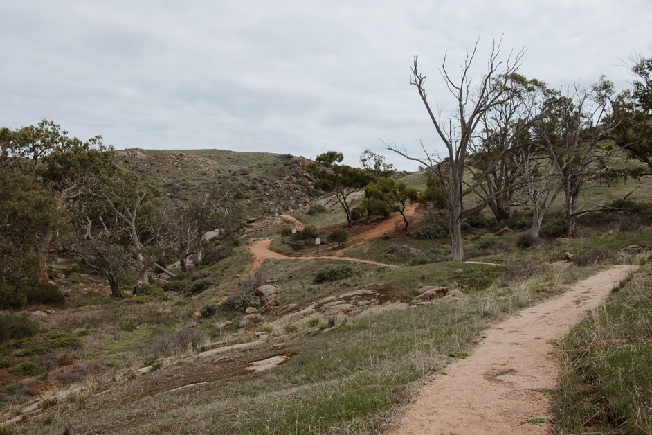 jana meerman mannum waterfalls hike australia-01