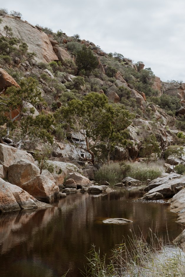 jana meerman mannum waterfalls hike australia-01