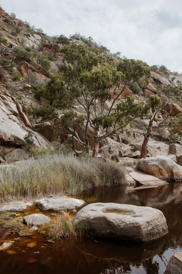 jana meerman mannum waterfalls hike australia-01