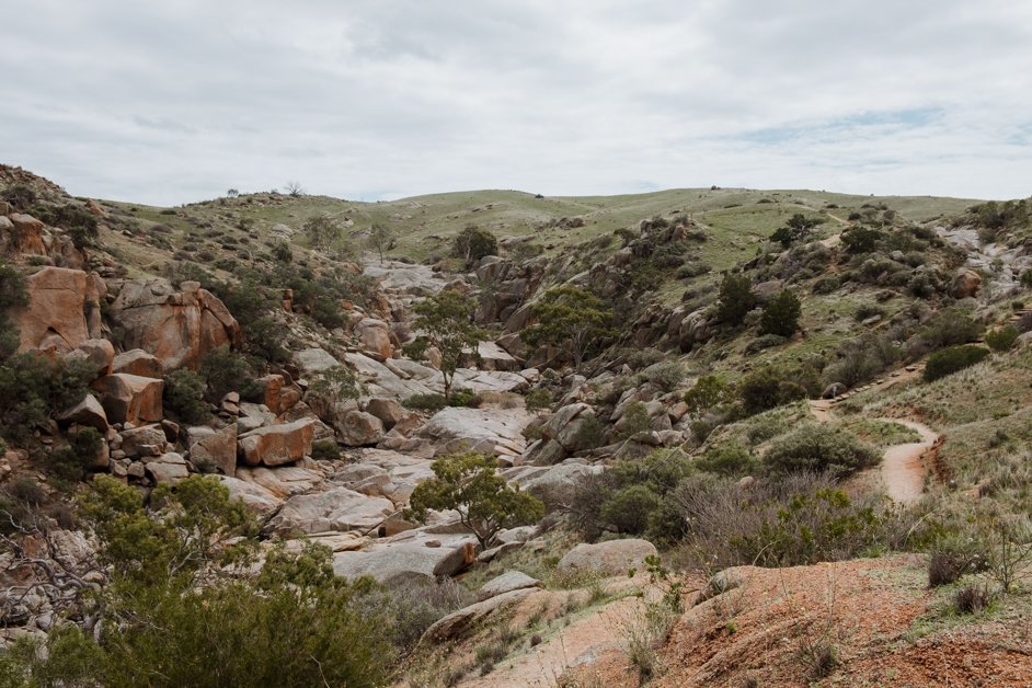 jana meerman mannum waterfalls hike australia-01