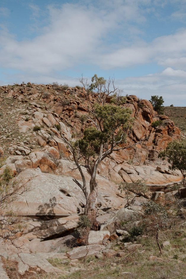 jana meerman mannum waterfalls hike australia-01
