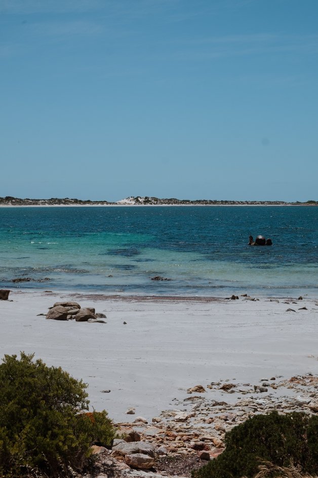 jana meerman moonlight bay south australia-9
