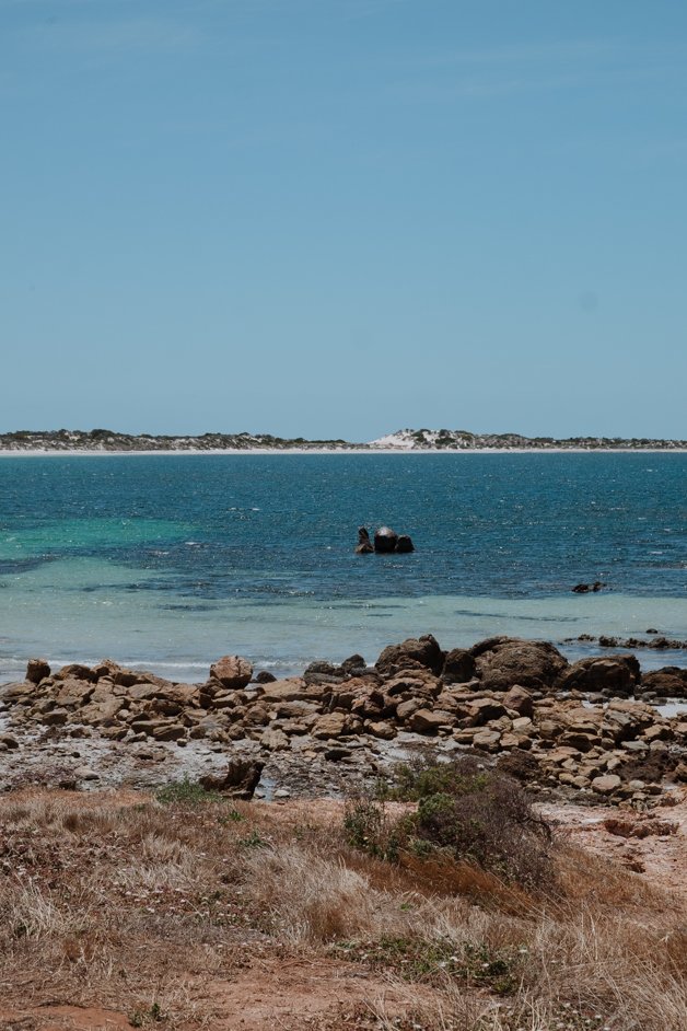 jana meerman moonlight bay south australia-9