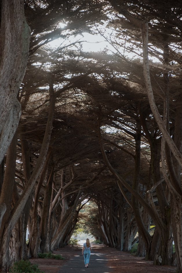 jana meerman mornington peninsula australia-42
