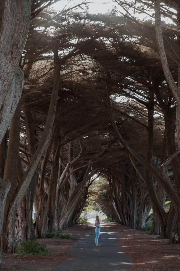 jana meerman mornington peninsula australia-42