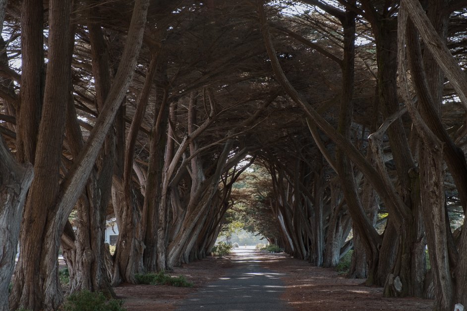 jana meerman mornington peninsula australia-42