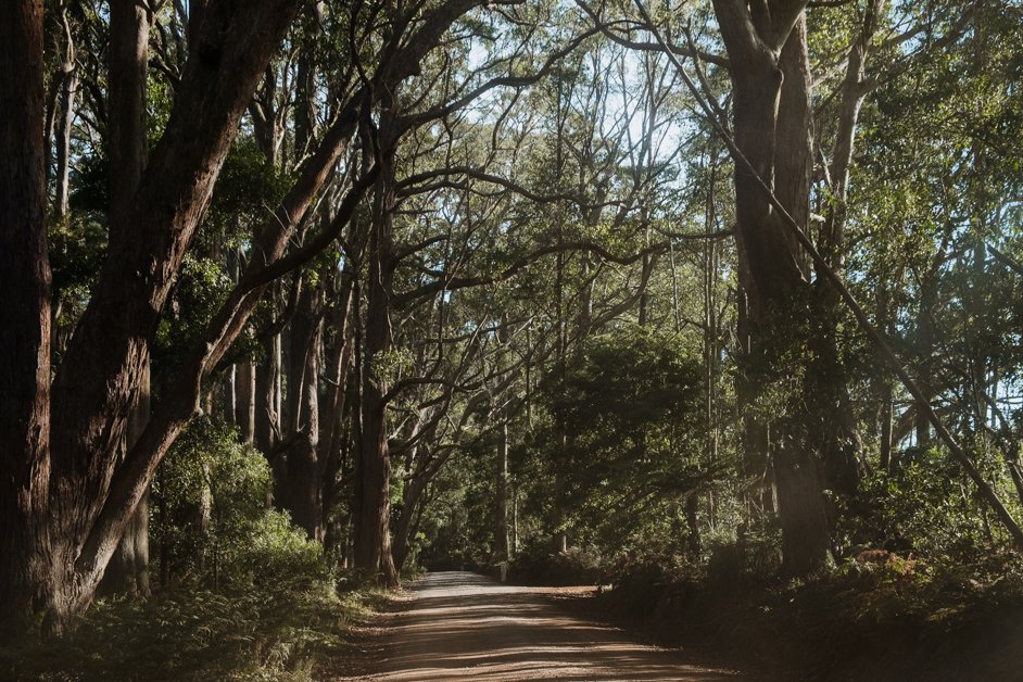 jana meerman morton national park australia-15
