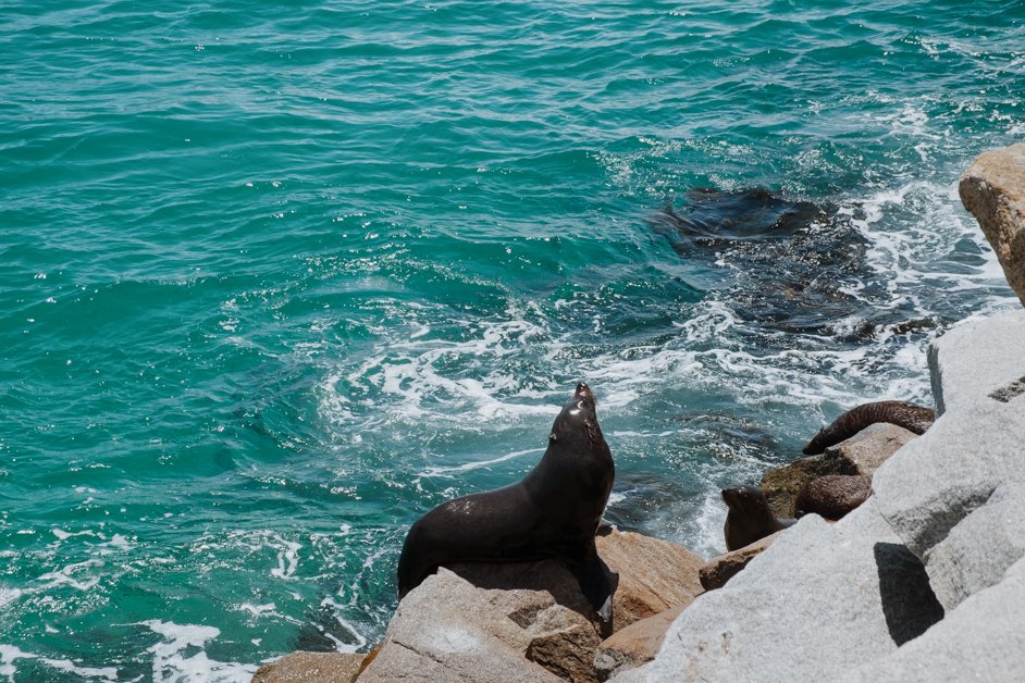 jana meerman narooma seal rocks nsw australia-3