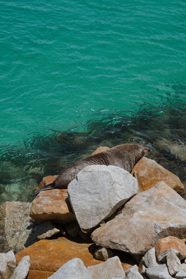 jana meerman narooma seal rocks nsw australia-3