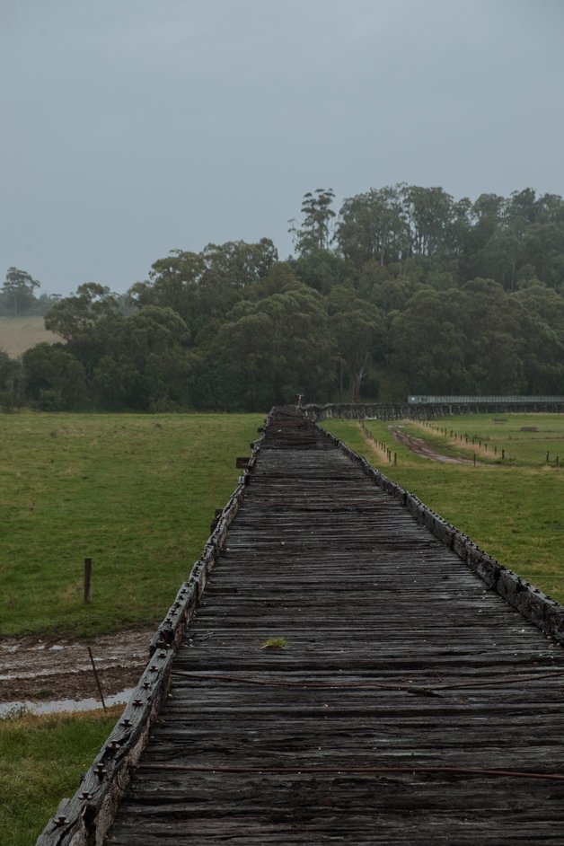 jana meerman orbost trestle bridge australia-1