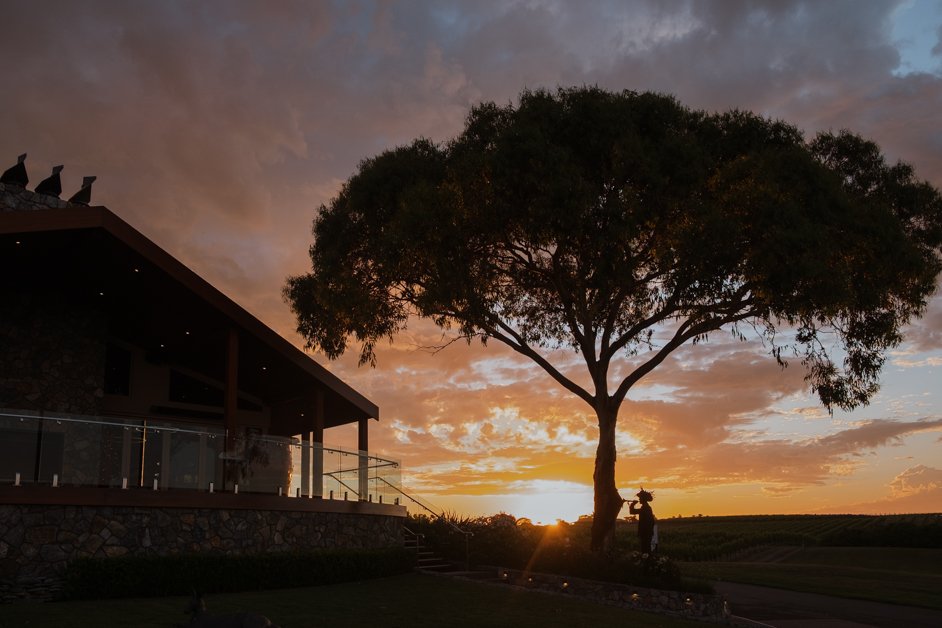 jana meerman peter teakle winery australia-02