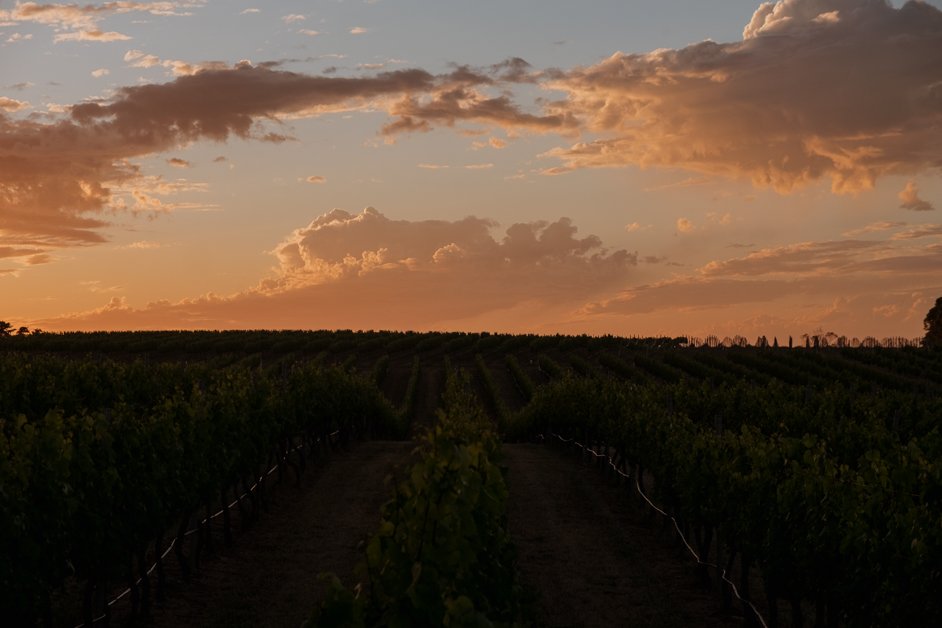 jana meerman peter teakle winery australia-02