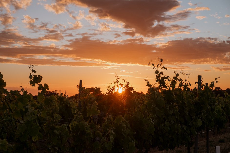 jana meerman peter teakle winery australia-02