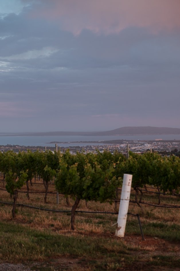 jana meerman peter teakle winery australia-02