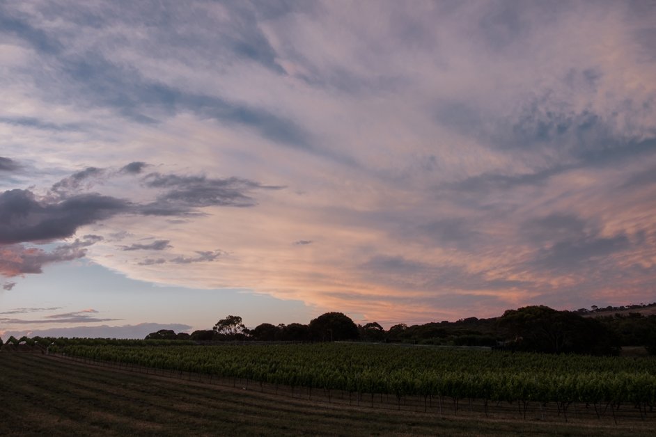 jana meerman peter teakle winery australia-02
