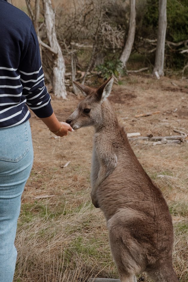 jana meerman phillip island australia-4