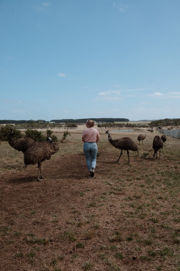 jana meerman phillip island australia-4