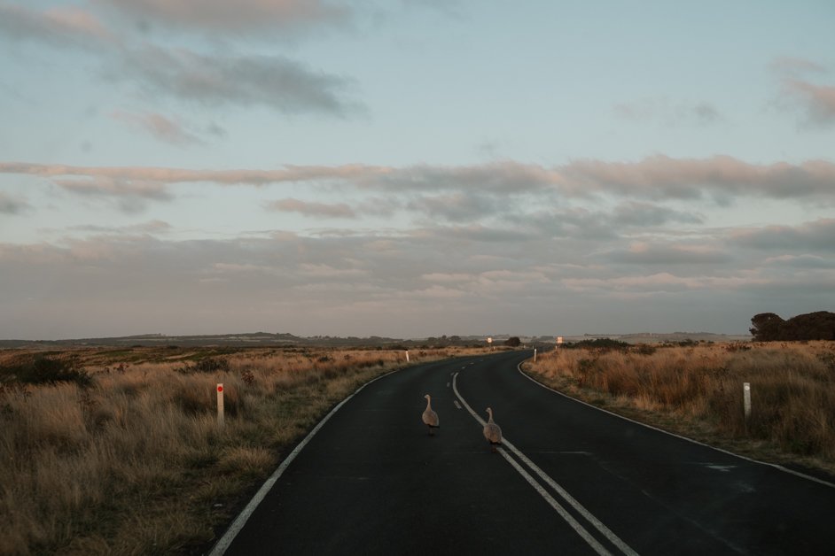 jana meerman phillip island australia-59