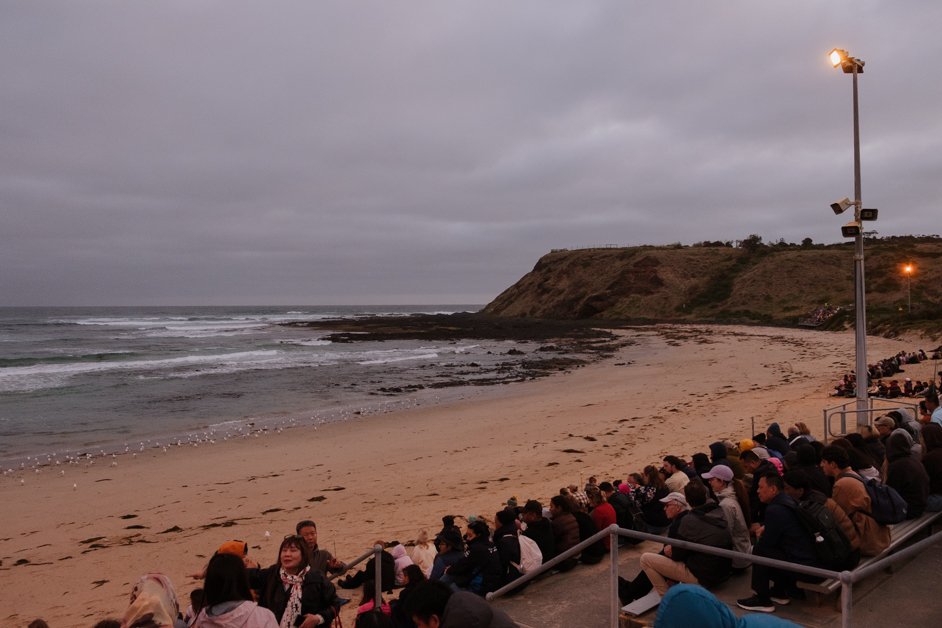 jana meerman phillip island australia-63