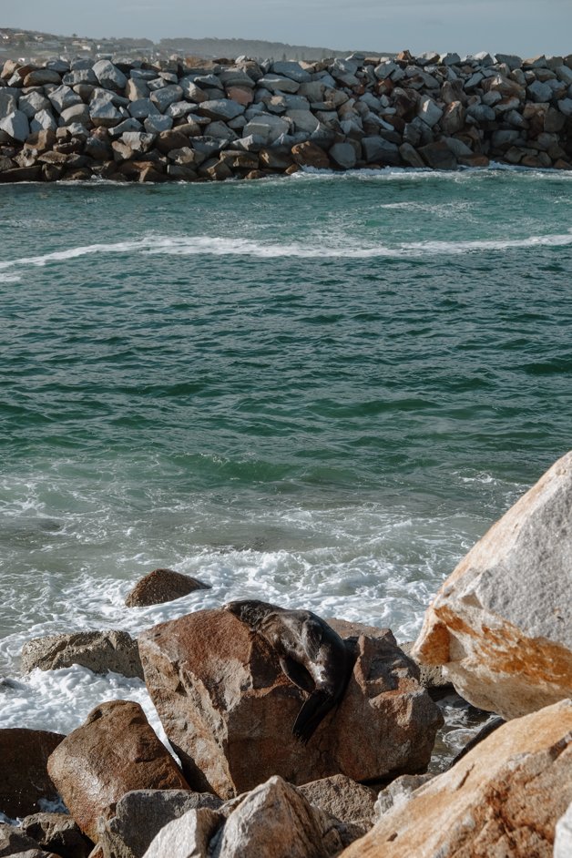 jana meerman seal rocks narooma australia-1