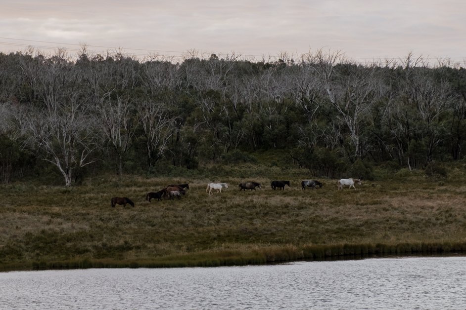 jana meerman snowy mountains australia-13