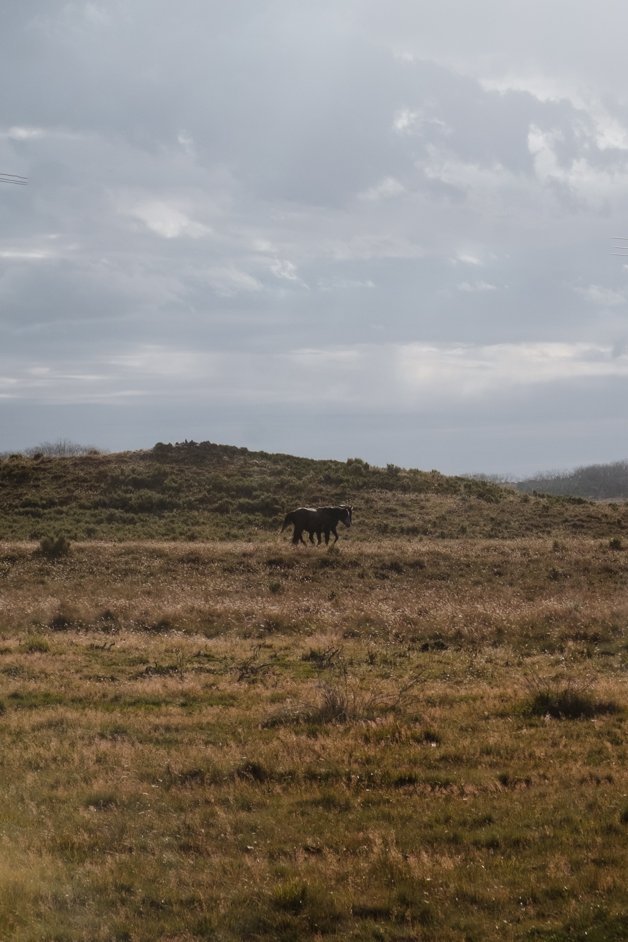 jana meerman snowy mountains australia-6