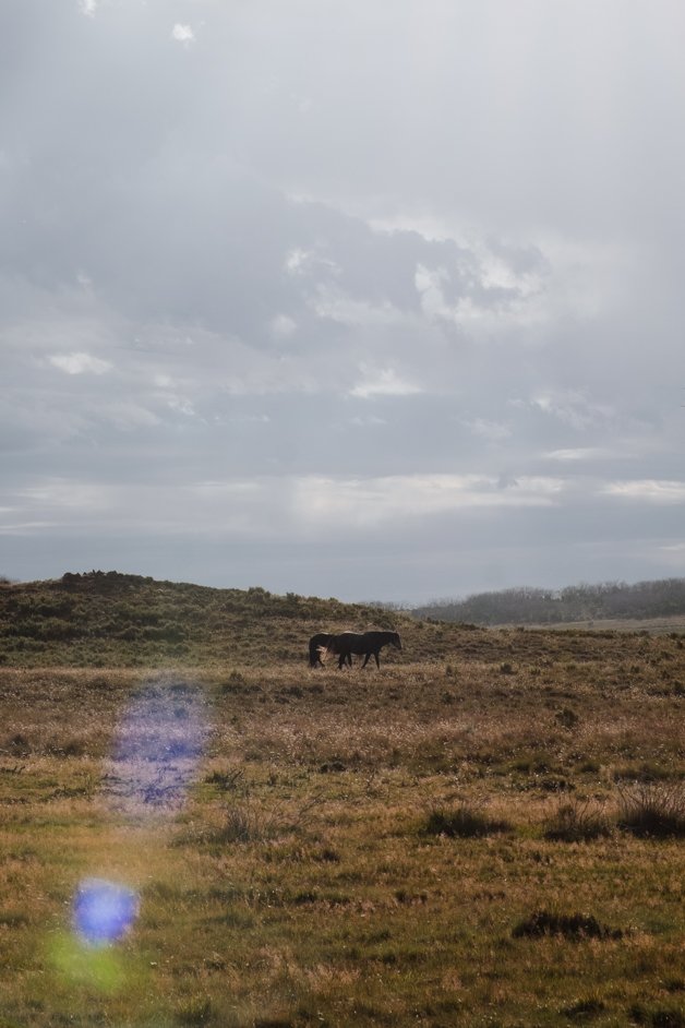 jana meerman snowy mountains australia-6