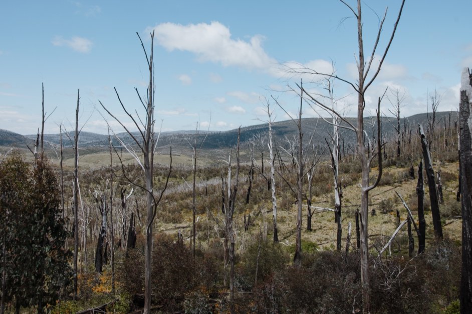 jana meerman snowy mountains highway australia-28