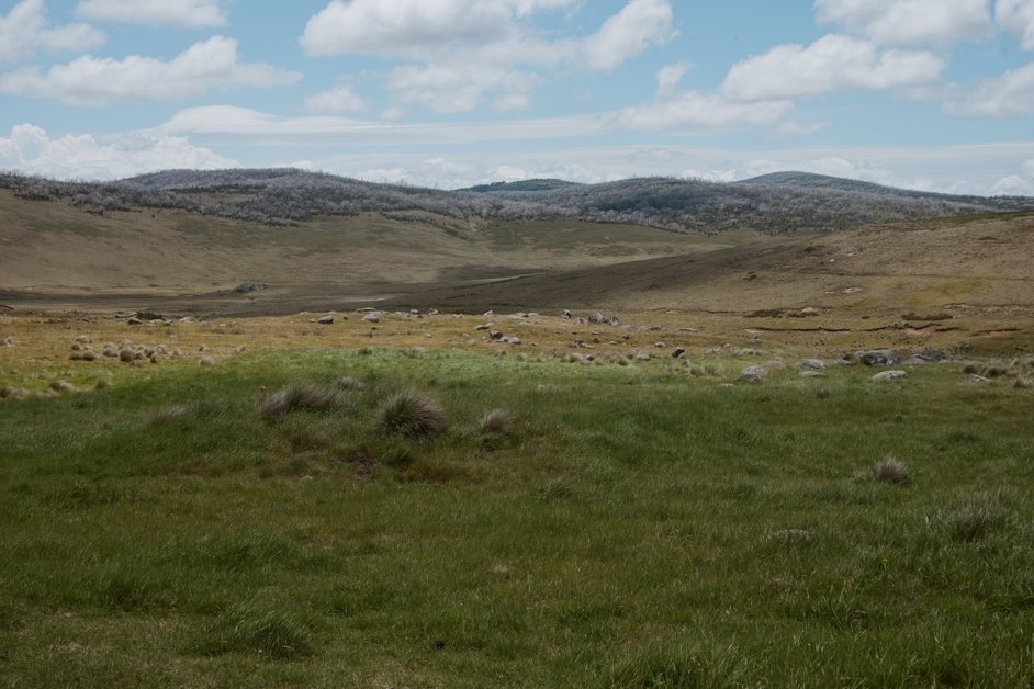 jana meerman snowy mountains highway australia-46